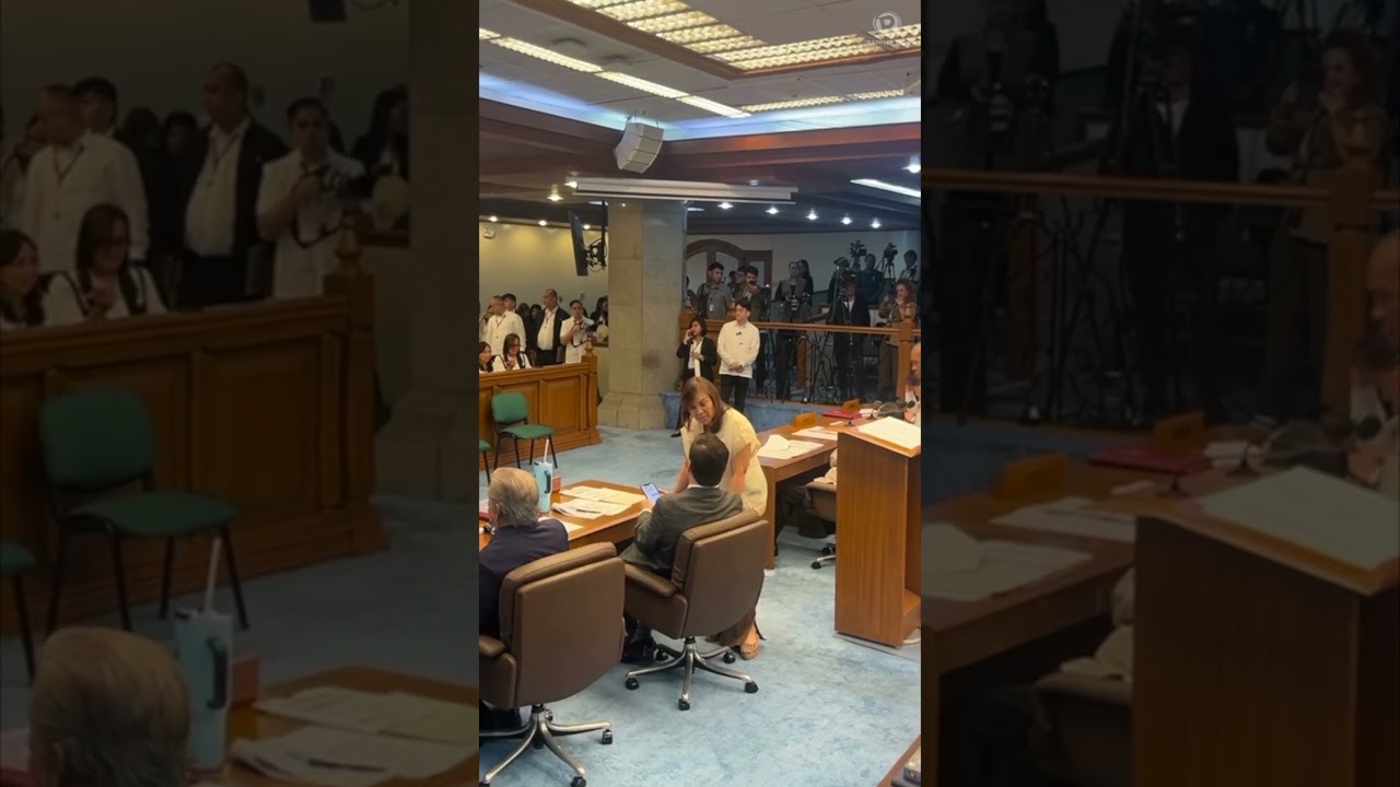 Loren Legarda attends CA plenary session at Senate