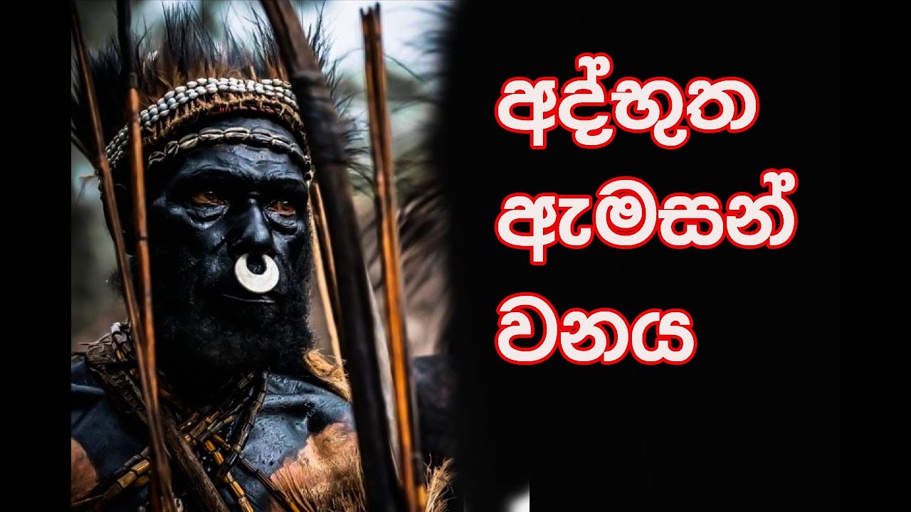 අත්භුත ඇමසන් වනය#alien #amazing #amazonforest #lokaya