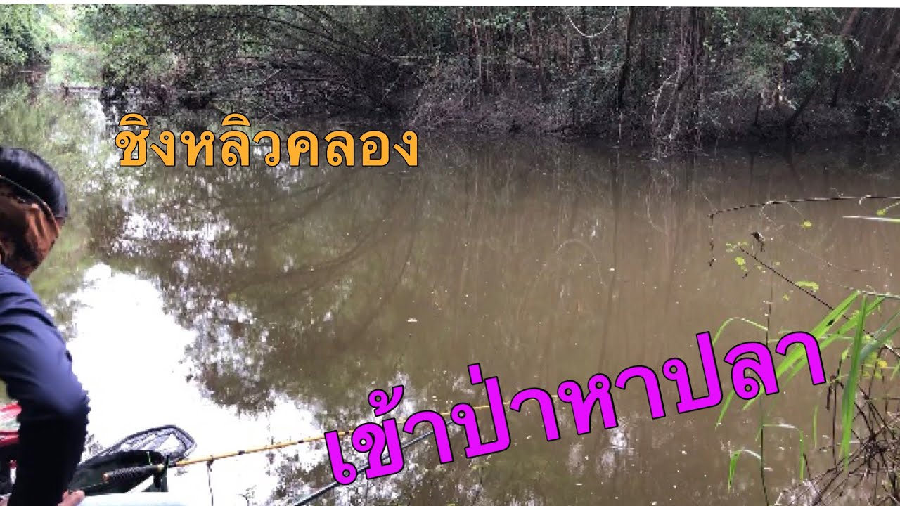 EP 79 ตกปลาหมายธรรมชาติ ตกชิงหลิวคลองส้ม ซอย21 ลพบุรี