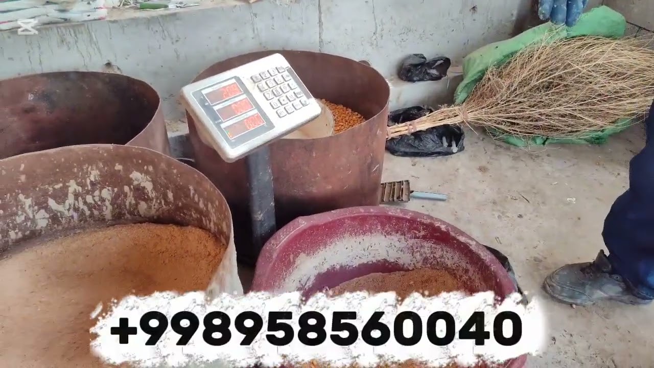 Qochqor boqish xaqida batapsil videoda #arashan #bozorolami2025 #xisori #yutube #andijonbozor #qoy 