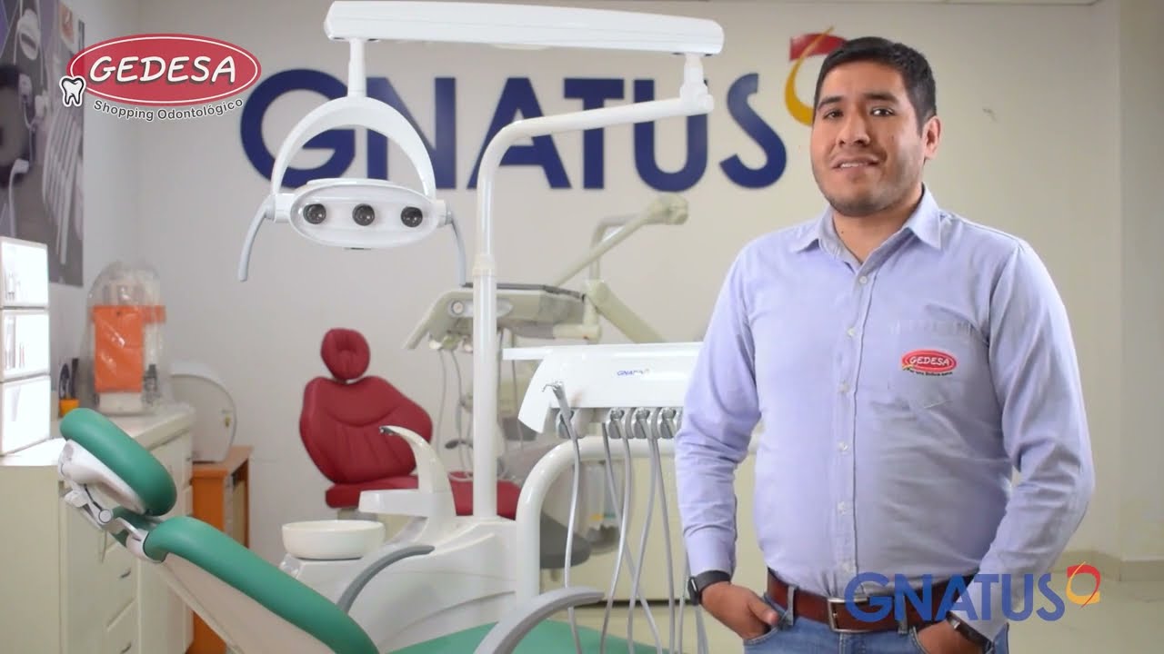 Caracter&iacute;sticas del SILLON DENTAL S400 GNATUS
