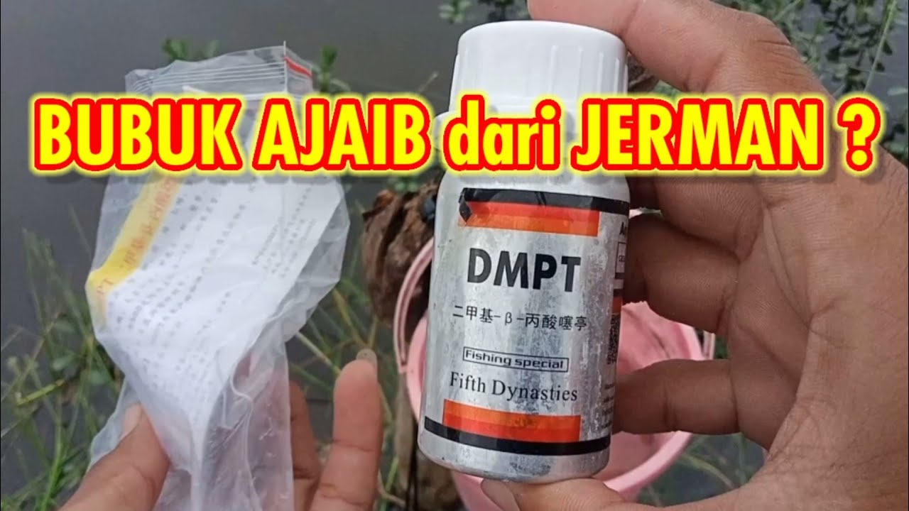TES bubuk DMPT dari JERMAN ternyata yang makan NILA BABON SEMUA