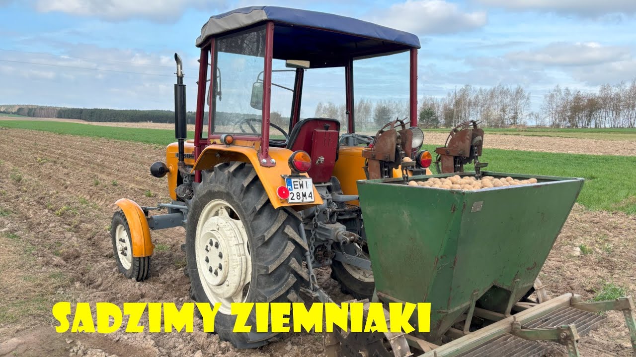 | ZACZYNAMY SADZIĆ ZIEMNIAKI🥔| U-R-S-U-S C-330 W AKCJI🔥| AGRO_JACA |