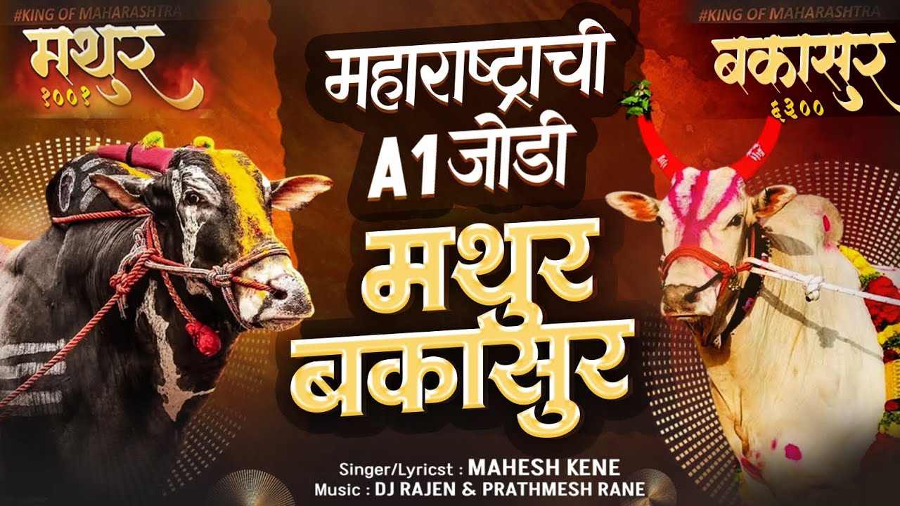 महाराष्ट्राची A1 जोडी मथुर-बकासुर | MATHUR-BAKASUR | New Bailgada Song | Mahesh Kene | Dj Rajen