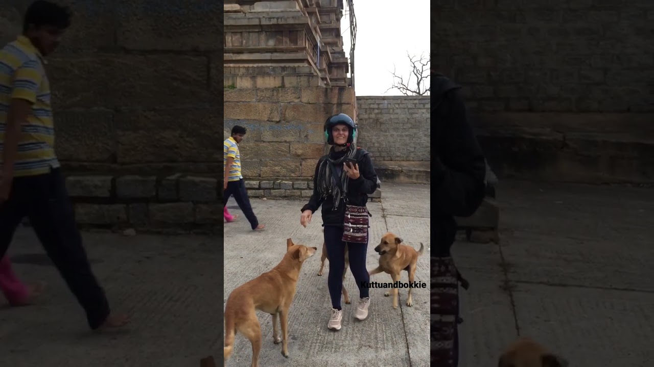 Foreigner Got trapped by street dogs in India #shorts