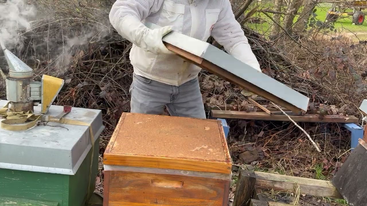 21.02.2026 Ari daraltma stok kontrol 2 #arıçılıq #doğalyaşam #isviçre #türkiye #honey 