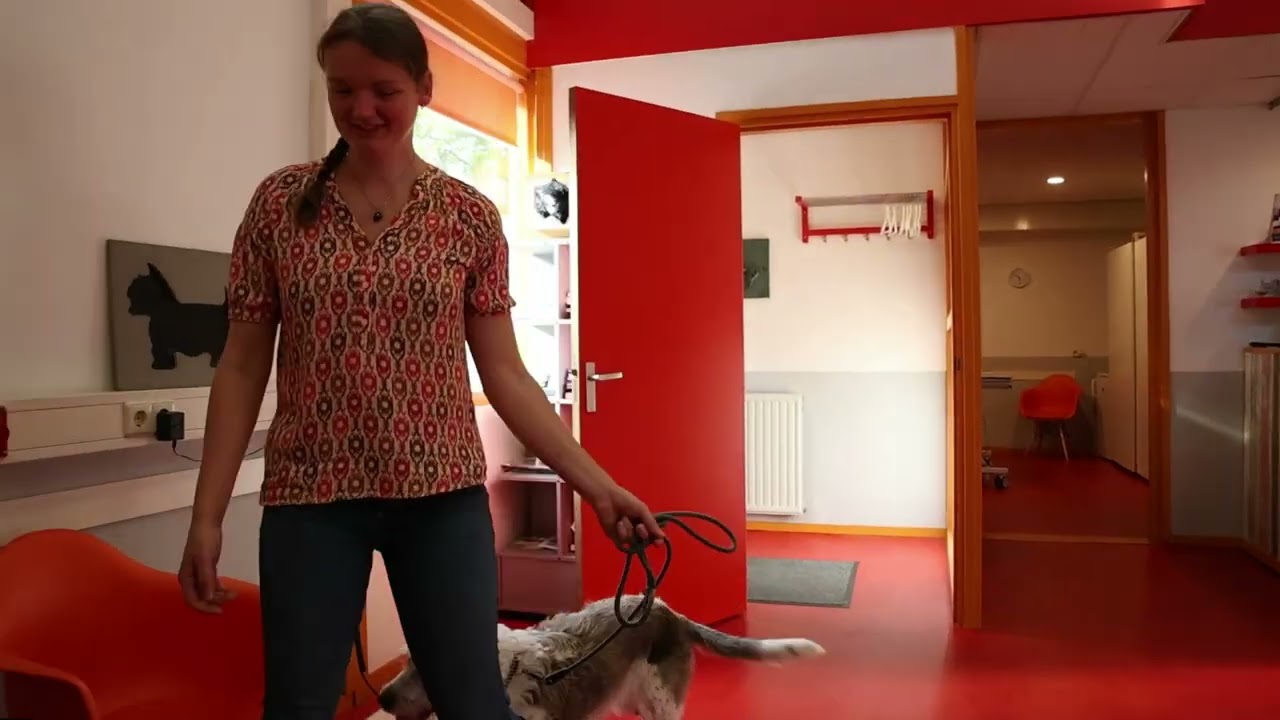 Binnenkomst in de kliniek
