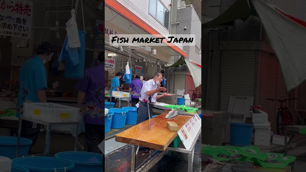 Inside a Japan fish market, cutting a big fish 