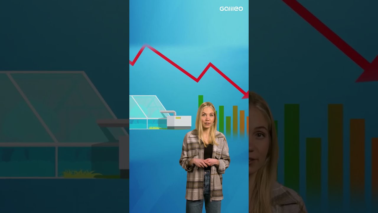 Preisanstieg f&uuml;r Gem&uuml;se! 🌶 🥒