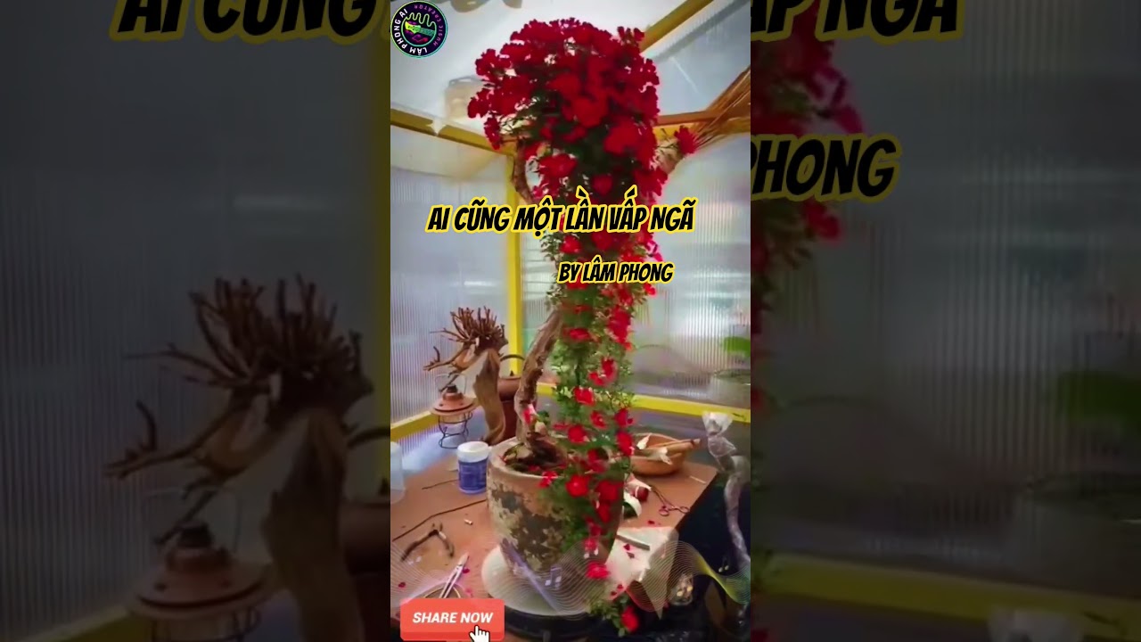 AI CŨNG MỘT LẦN VẤP NGÃ #nhactreremix #nhachaymoingay #nhactre #nhacdienturemix #sunoai #nhacviet