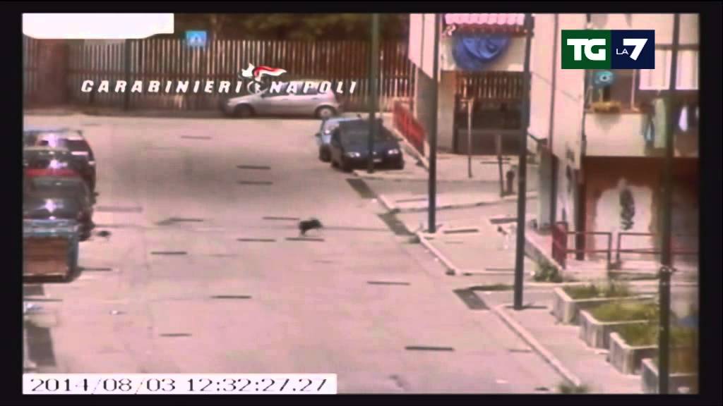 Napoli: inseguimenti e spari tra la folla, 12 arresti