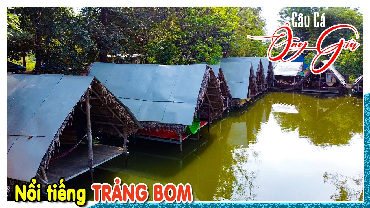 Trải nghiệm dịch vụ câu cá giải trí NỔI TIẾNG TRẢNG BOM | Câu cá Ông Già