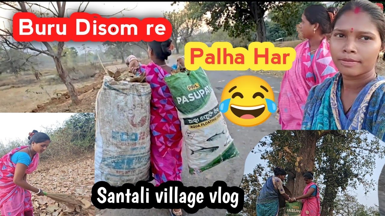 Buru Disom Re Palha Har😂 Santali village vlog 