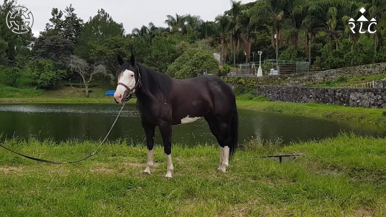 Visita a Rancho Montegrande en Colima - Parte 5 de 5