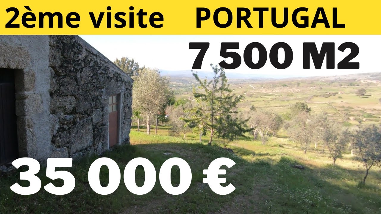 ACHETER une cabane au PORTUGAL pas chère pour la transformer en maison, visite immobilières Porto