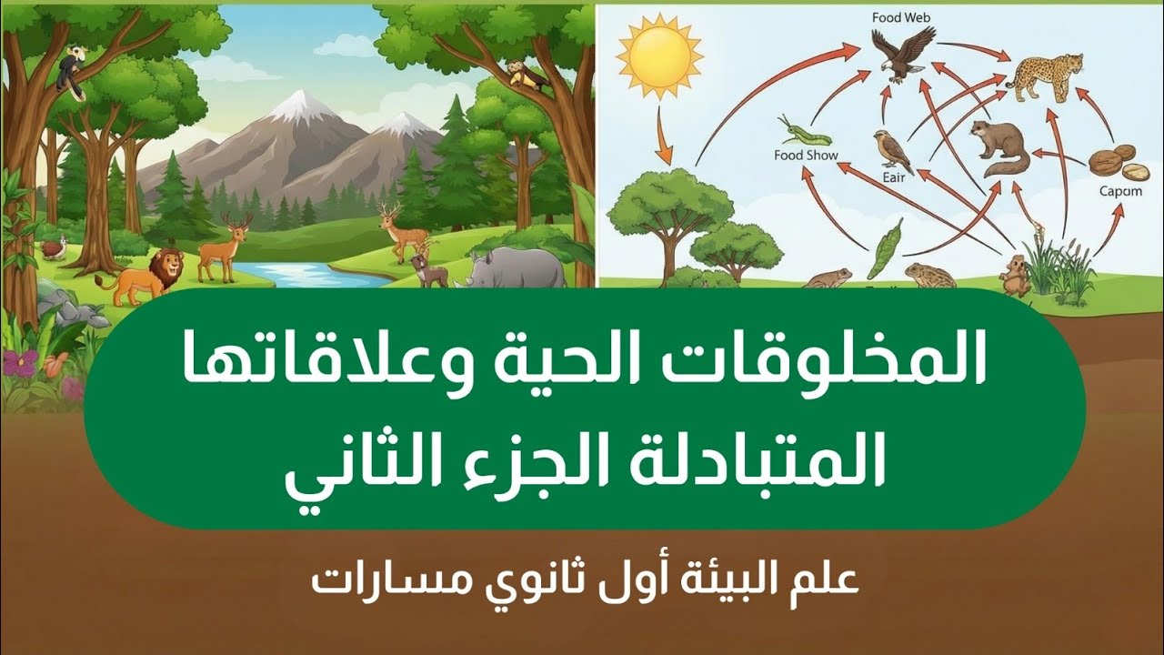 المخلوقات الحية وعلاقتها المتبادلة الجزء الثاني | علم البيئة أول ثانوي مسارات