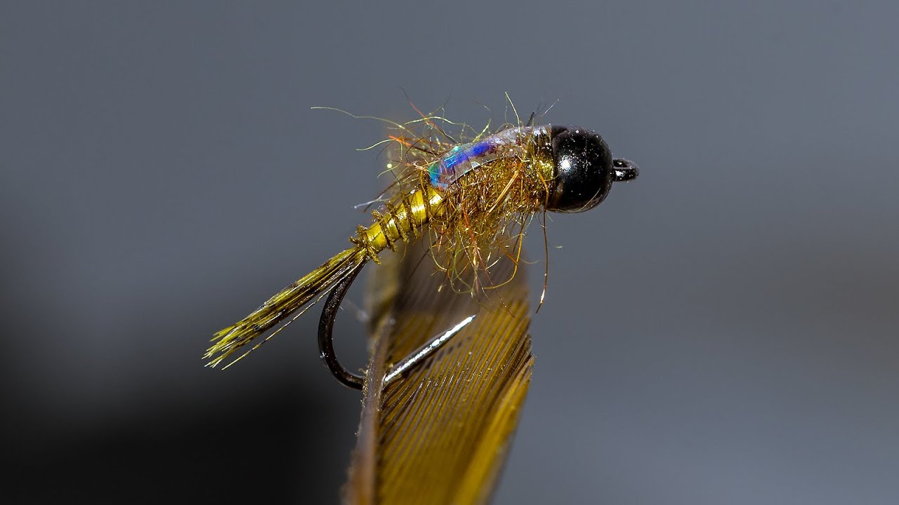 Fliegenbinden // Small Biot Nymph
