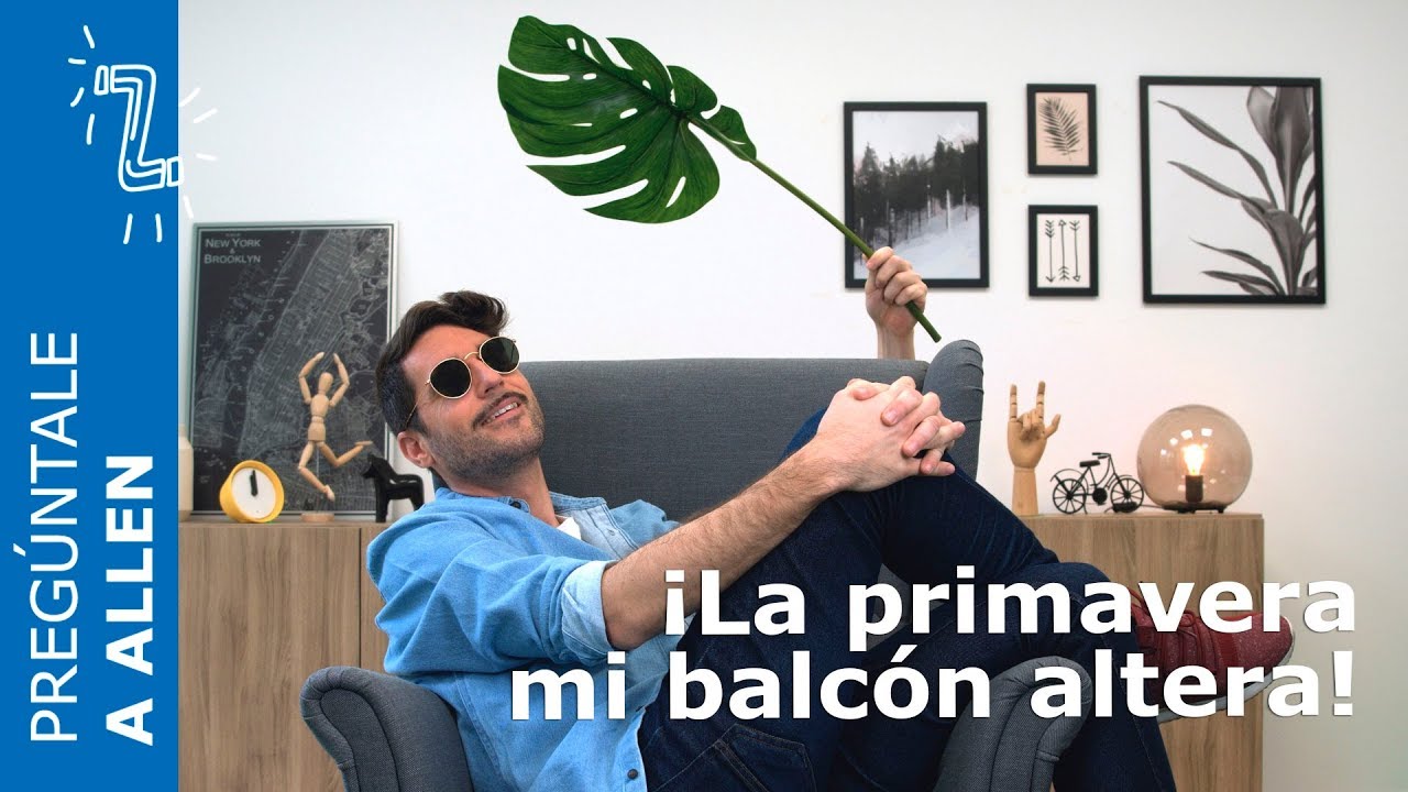 Pregúntale a Allen Episodio 7 - IKEA