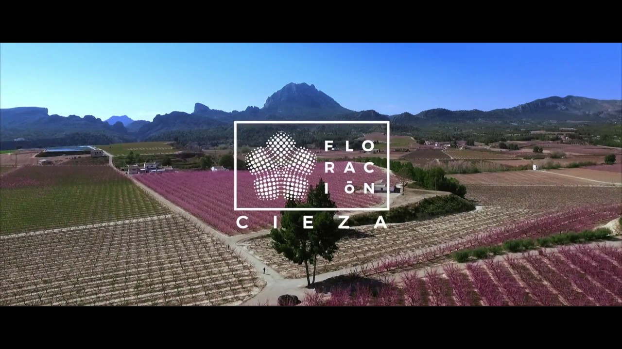 Floraci&oacute;n de Cieza