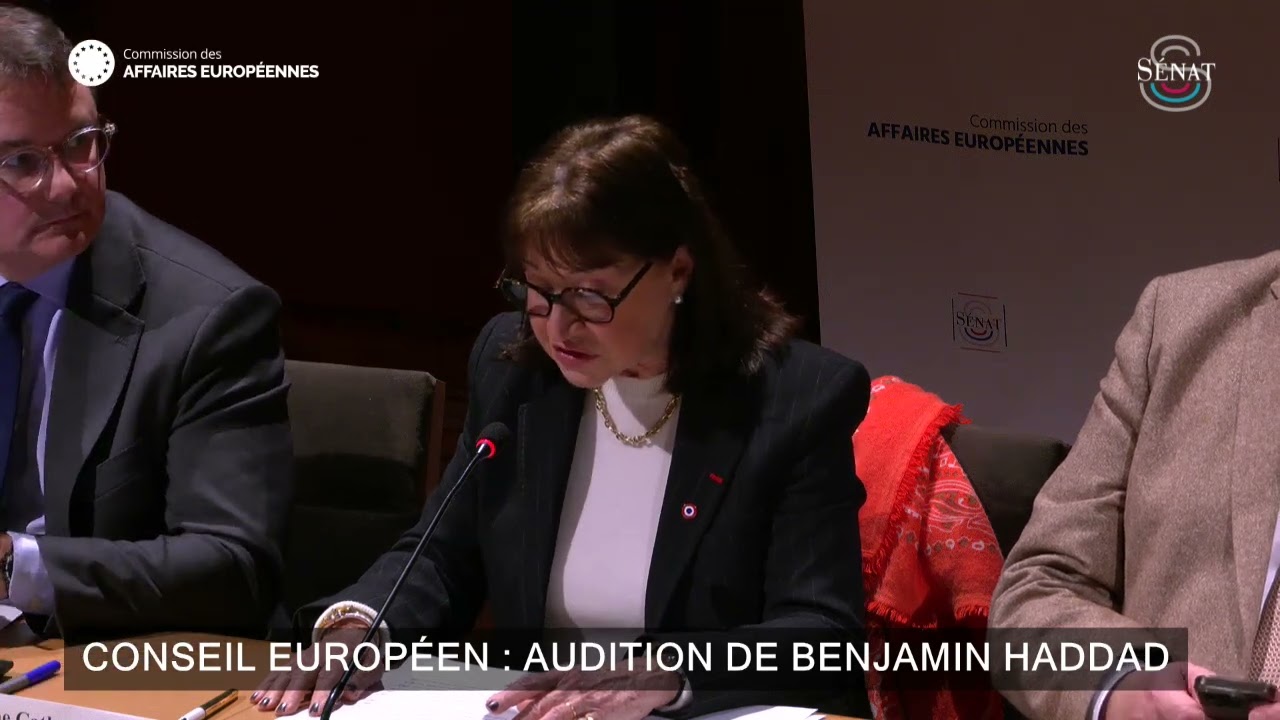 Intervention à l'occasion de l'audition de Benjamin HADDAD, ministre délégué chargé de l'Europe