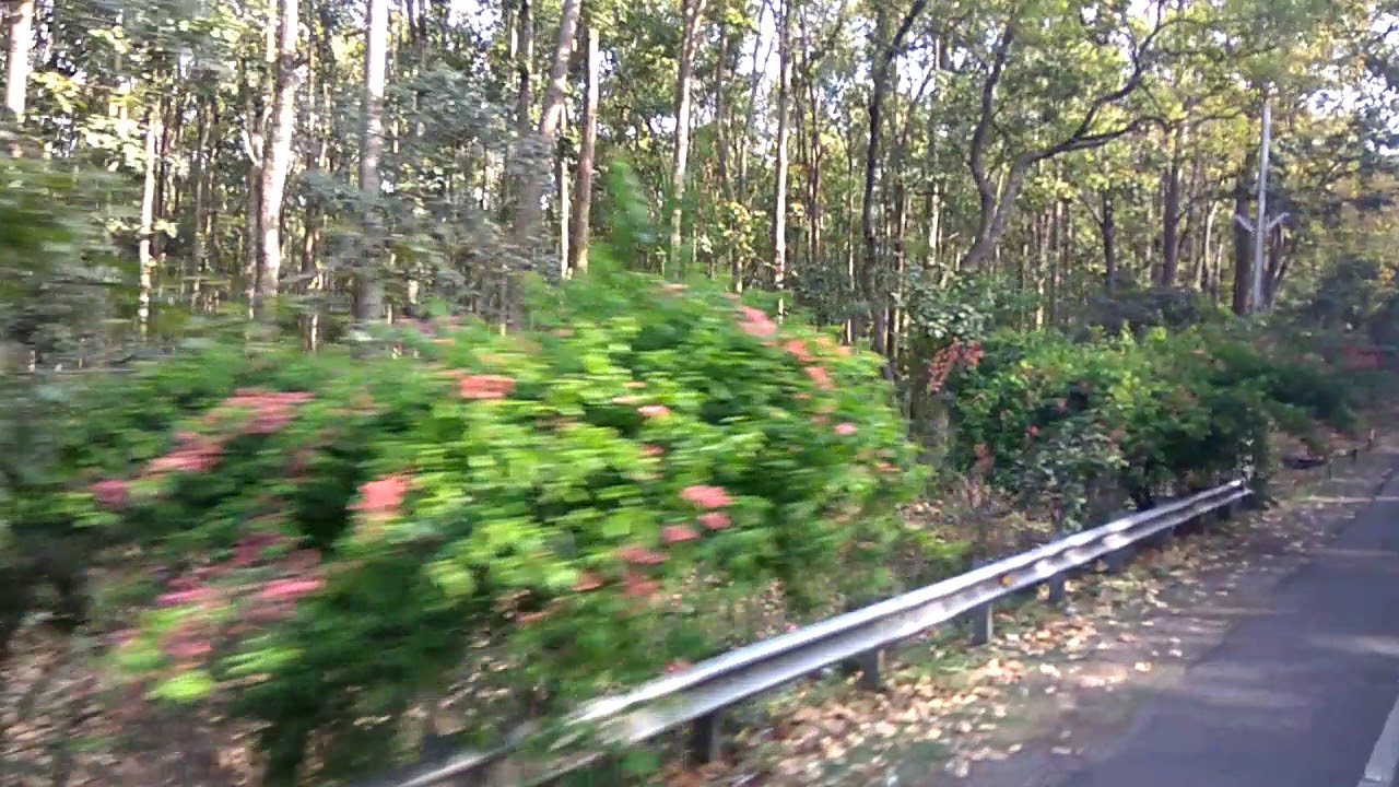 Dehradun to Pantwari