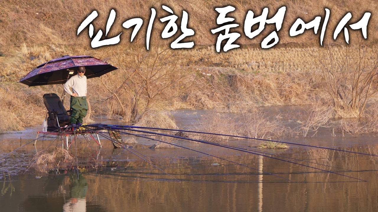 꿈인가 생시인가 시작부터 끝까지 덜커덩~ 목줄이 댕강 터져나가는 신기한 둠벙에서 붕어낚시