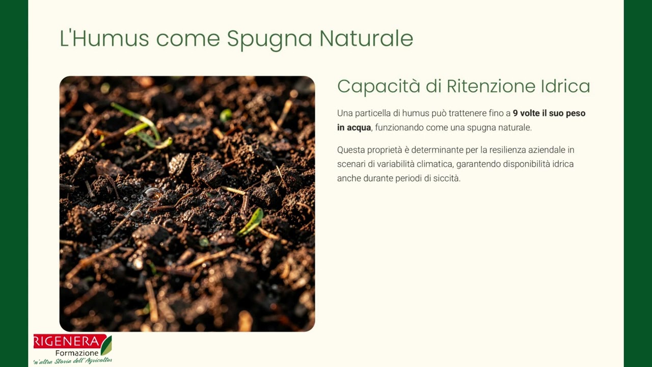 L'Humus Rigenera il Suolo: Spugna per Acqua e Nutrienti