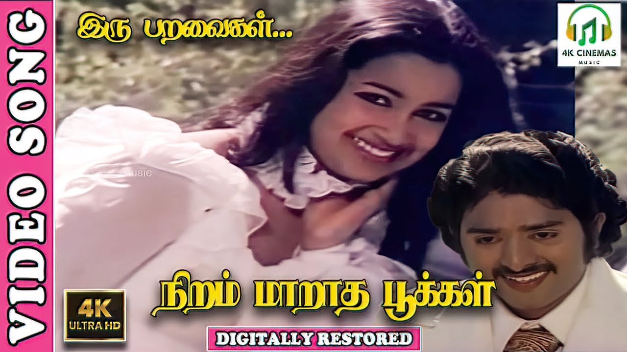 Iru Paravaigal 4K Video Song-Niram Maratha Pookal-Sudhakar,Radhika | Jency,Gangai Amaran- Ilaiyaraja
