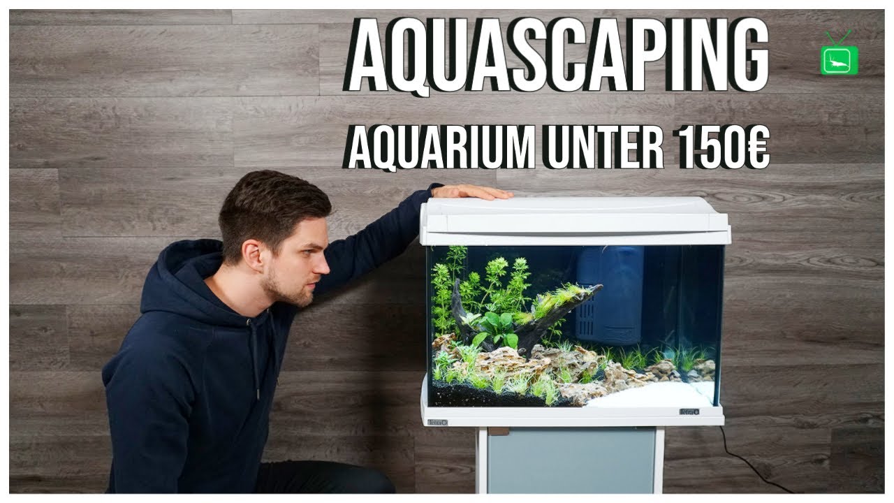 AQUASCAPE AQUARIUM FÜR UNTER 150,00€ | Aquascaping Schritt für Schritt erklärt | GarnelenTv