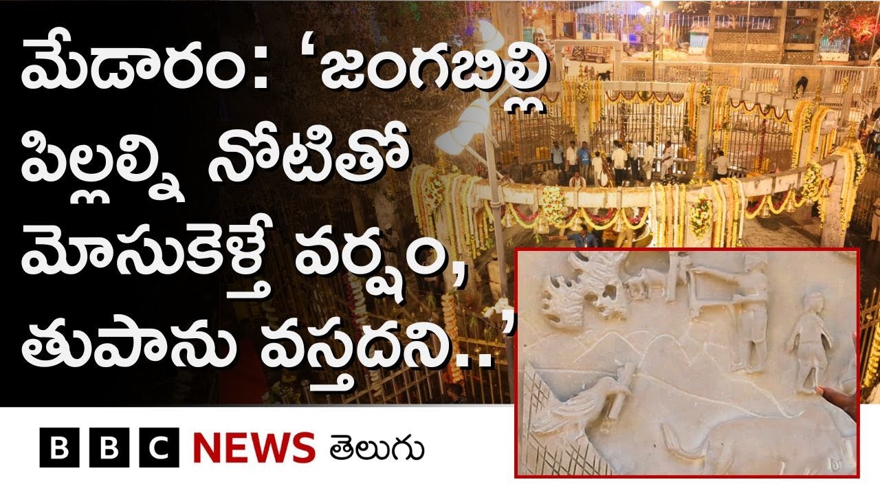 Medaram: మేడారం గద్దెల ప్రాంగణంలో కనిపించే గుర్తులు, శిల్పాలు ఏం చెబుతున్నాయి? | BBC Telugu