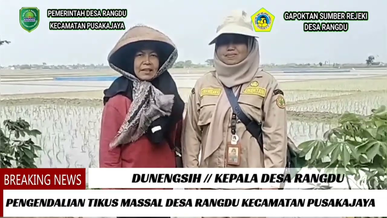GROPYOKAN TIKUS DESA RANGDU