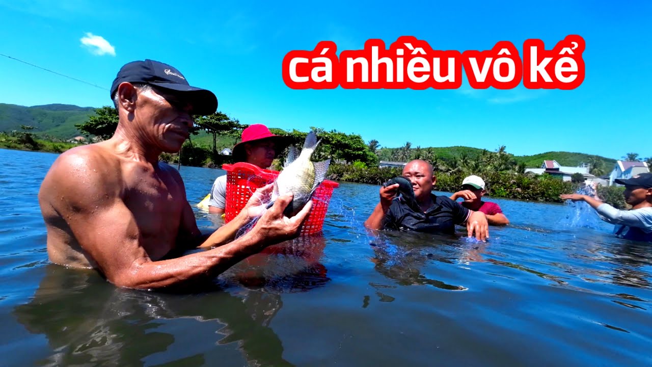 Cá Đâu Dưới Đất Ngoi Lên Nhiều Vô Kể Hôm Nay Trúng Đậm | Son Duoc Vlog 220