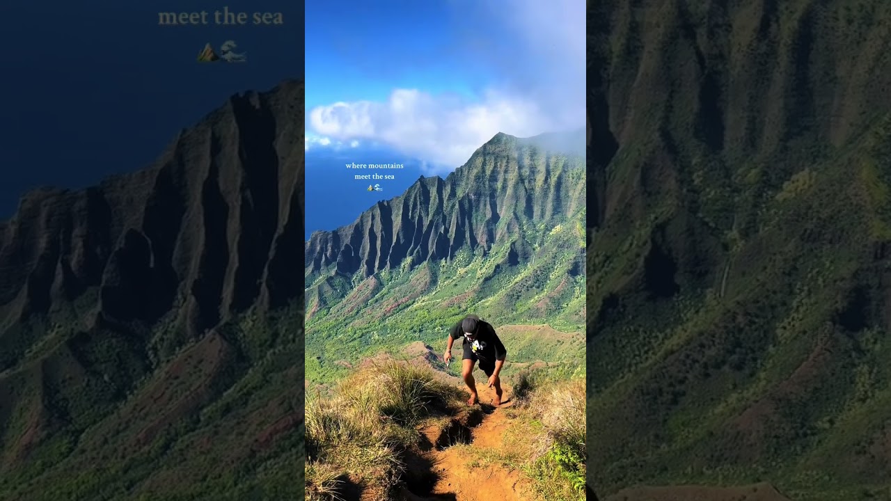 The Kalalau lookout never gets old 😍 #hawaii #besthikes #napalicoast #lookout #kauai
