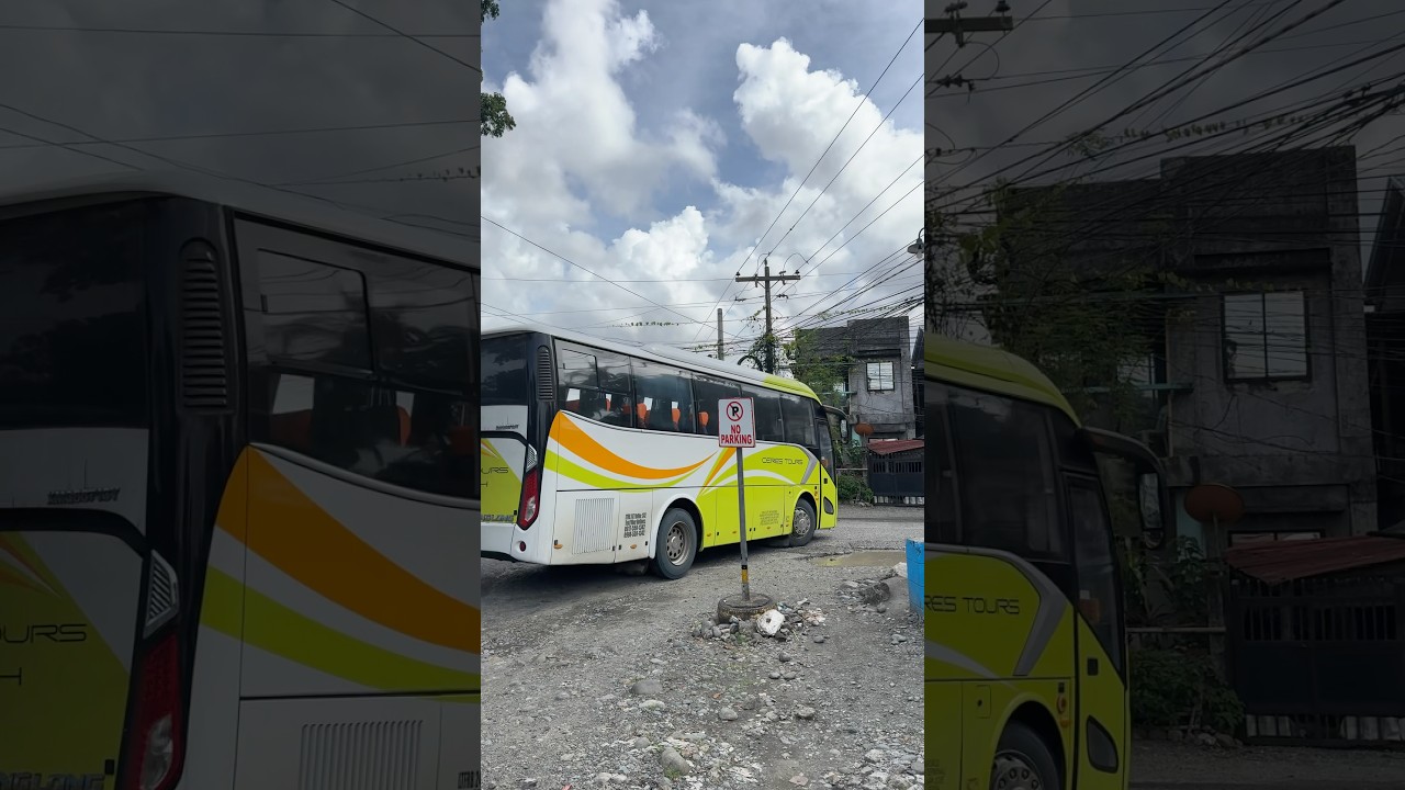 New model Ceres bus and new livery #cerestours  #busspotting #shorts