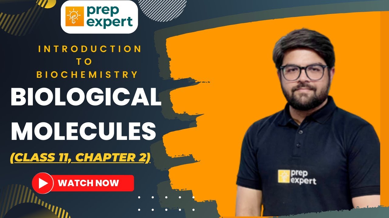 Biological Molecules: A Comprehensive Introduction to Biochemistry (Class 11, Chapter 2)
