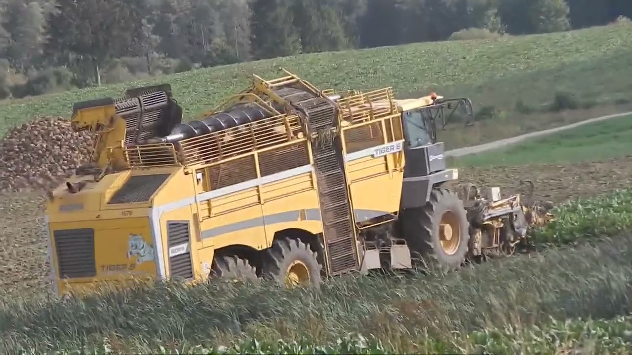 01 10 2023 AKCJA KOPANIE BUTAKÓW
