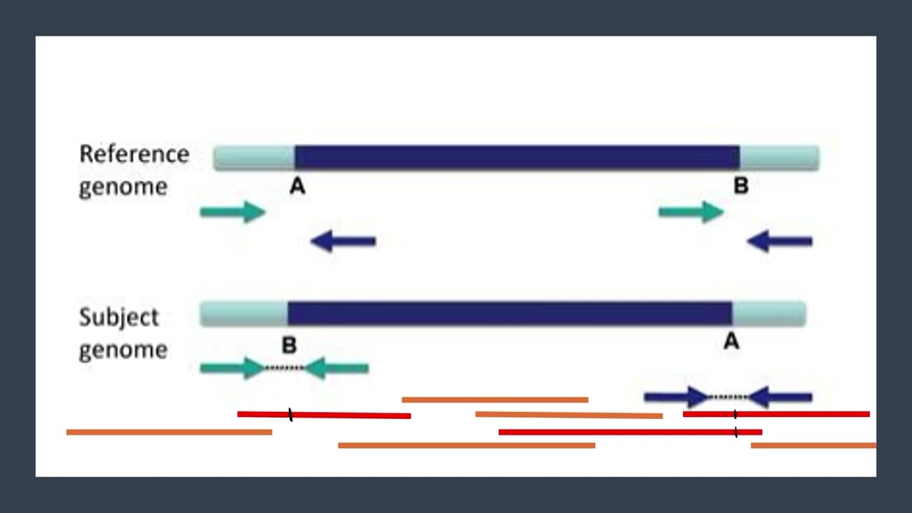 IGV Tutorial Part 5: Structural Variants