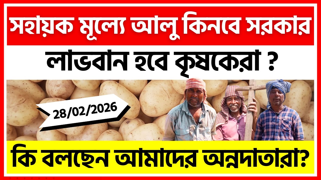 আলু কিনবে সরকার। কি ভাবছেন আলু চাষিরা? গ্রাউন্ড জিরোর রিপোর্ট - India Potato News