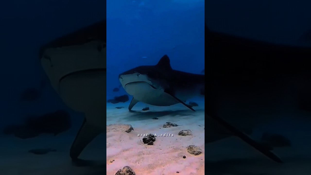 CUIDADO, TUBAR&Atilde;O VAI TE PEGAR 😱 | edit | aesthek_edits~