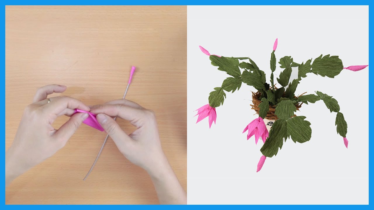 How To Make Chiristmas Cactus (Schlumbergera) Plant From Crepe Paper | DIY Flower Paper