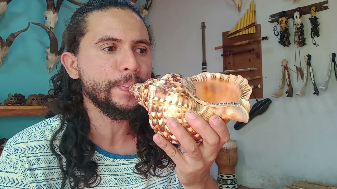 Pututu Andino - Sons Curiosos