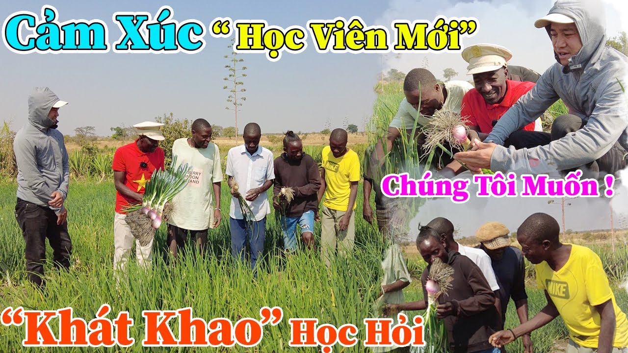 Công Giáp || Chúng Tôi Rất Muốn ! Cảm Xúc Của 
