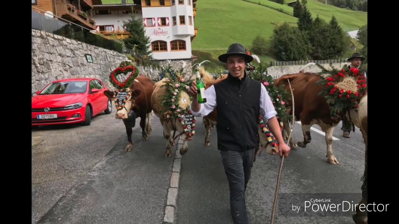 Almabtrieb Zillertal Bliemerhof 2018