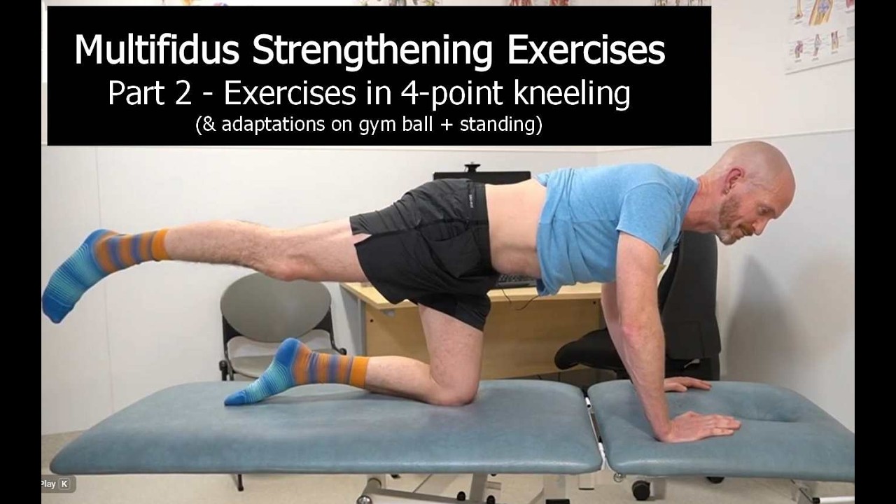 Multifidus strengthening Exercises - Part 2 Exercises in 4-point kneeling