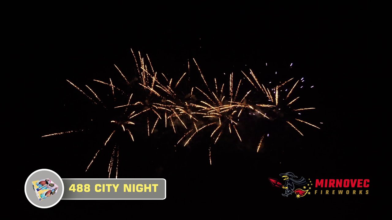 488 CITY NIGHT