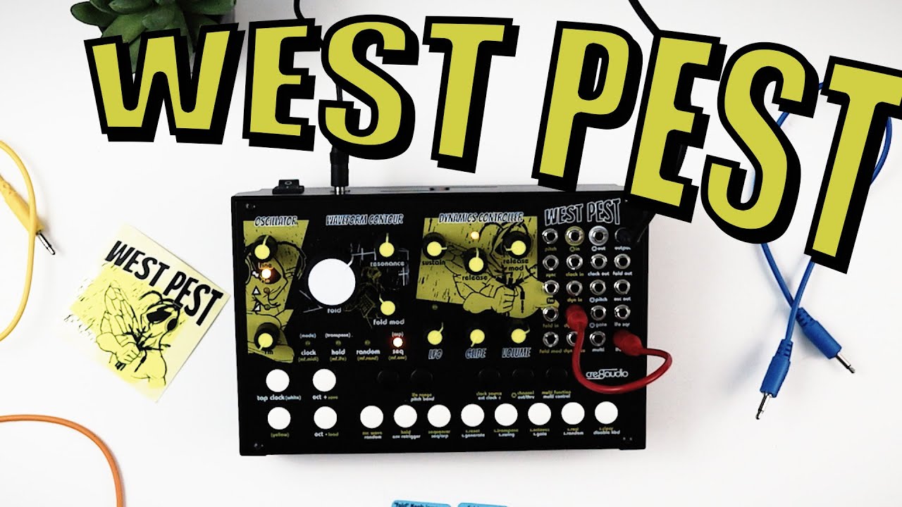 West Pest - Cre8audio || Демонстрация звука || Первые впечатления || Распаковка