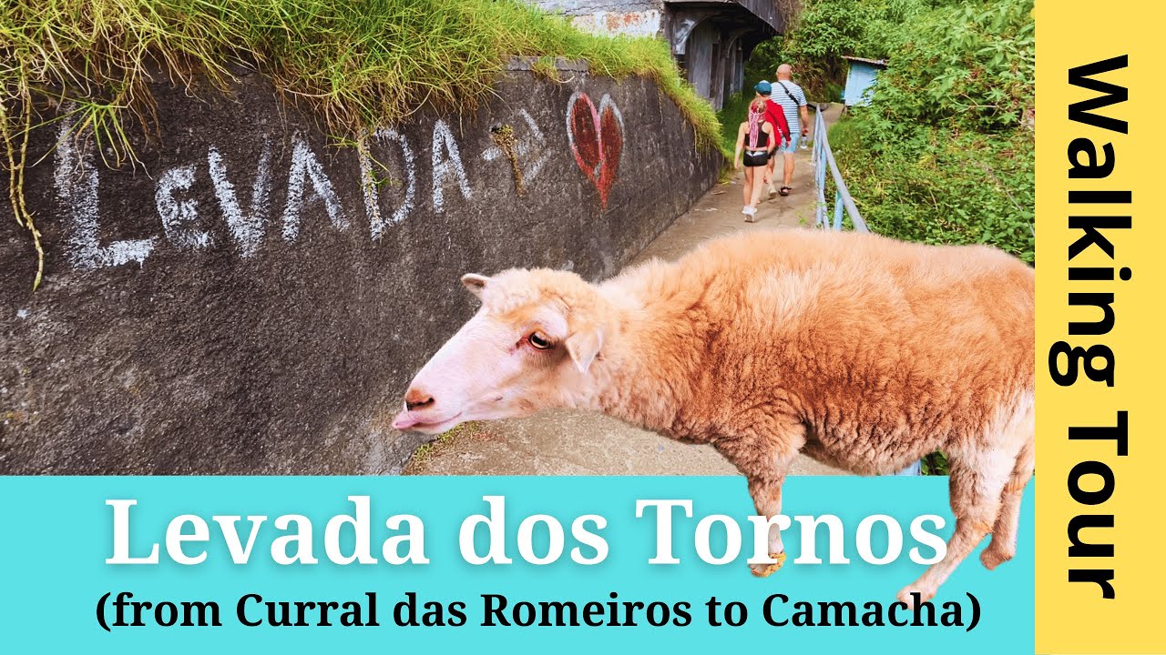 🔴 Levada dos Tornos Family Walk | Abandoned Houses, Nature & Wild Path (4K Madeira)