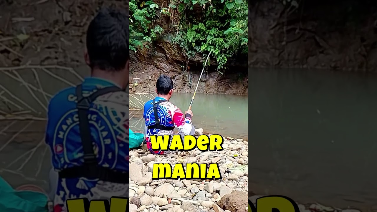 mancing mantap  #mancing #fishing #mancingmania