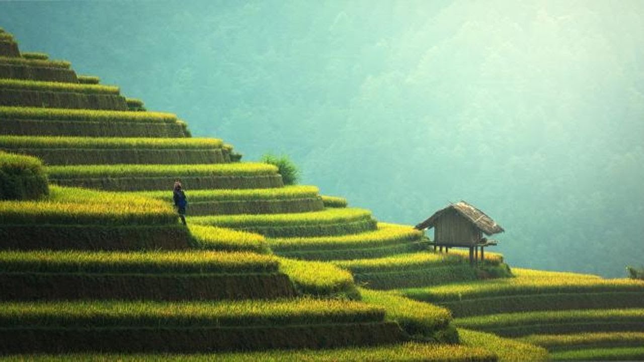 Assessing The Durability Of The Emerging Market Resurgence