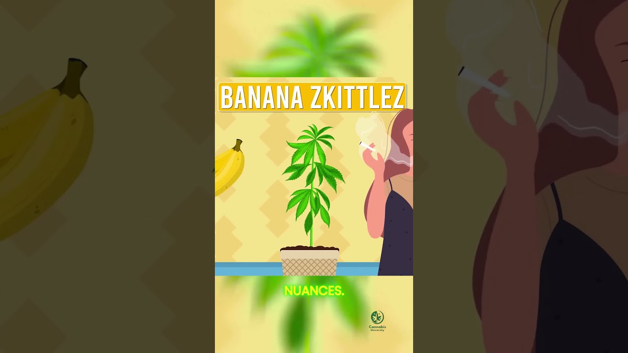 Banana Skittles: The Sweet Indica-Dominant Hybrid You Need in 2024